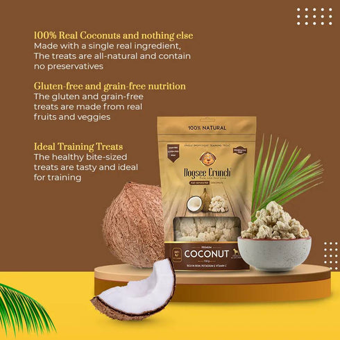 Dogsee Crunch Freeze Dried Coconut Dog Treats